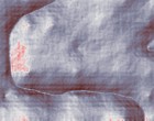 bhakti yoga