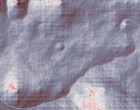 kriya yoga