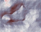 sahaja yoga