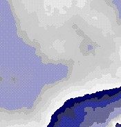 yoga kln